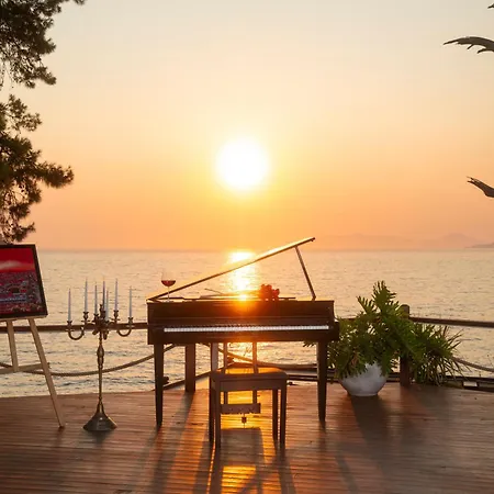 Lov Adults Only Фаралия